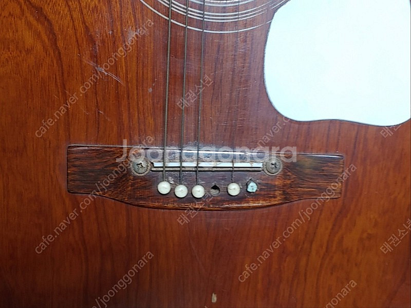 yamaha young jin 1962--5