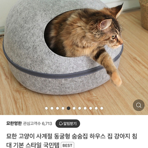 묘한 숨숨집 에그하우스 새제품