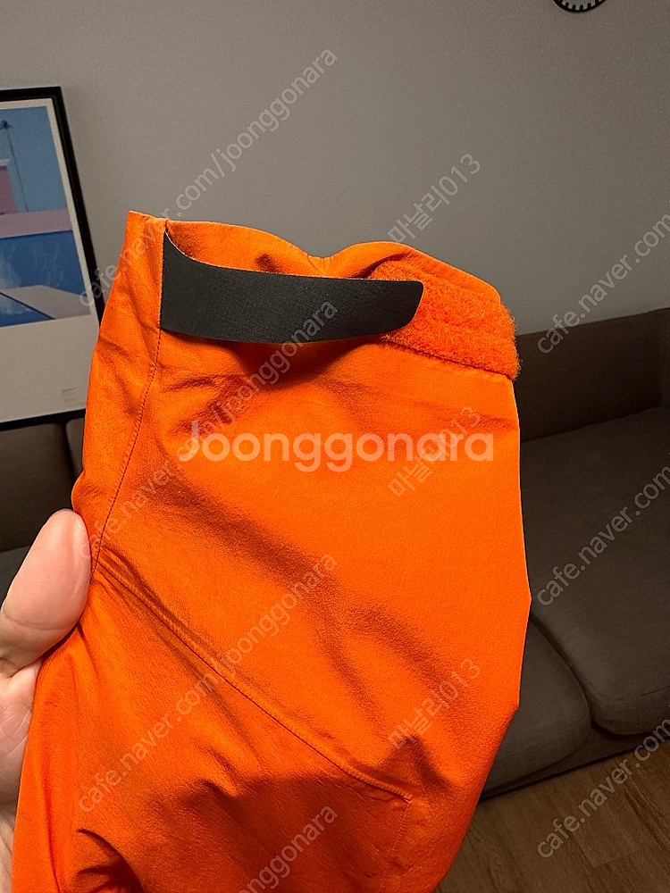 [M]아크테릭스 베타lt 페놈 컬러--4