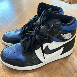 나이키 조던1 Retro High OG Royal Toe (270)