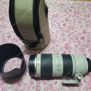 캐논 ef 70-200is 2 (새아빠) 렌즈 팝니다.