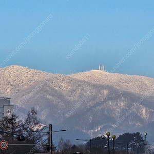 휘닉스파크 눈썰매이용권 판매