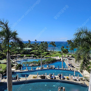 ​힐튼 그랜드베케이션 하와이 미국 호텔 HGV 포인트예약 해드립니다.(290)