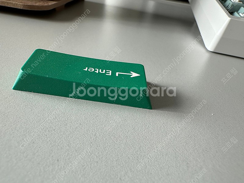 PBTfans DOLCH 피팬 돌치 키캡--2