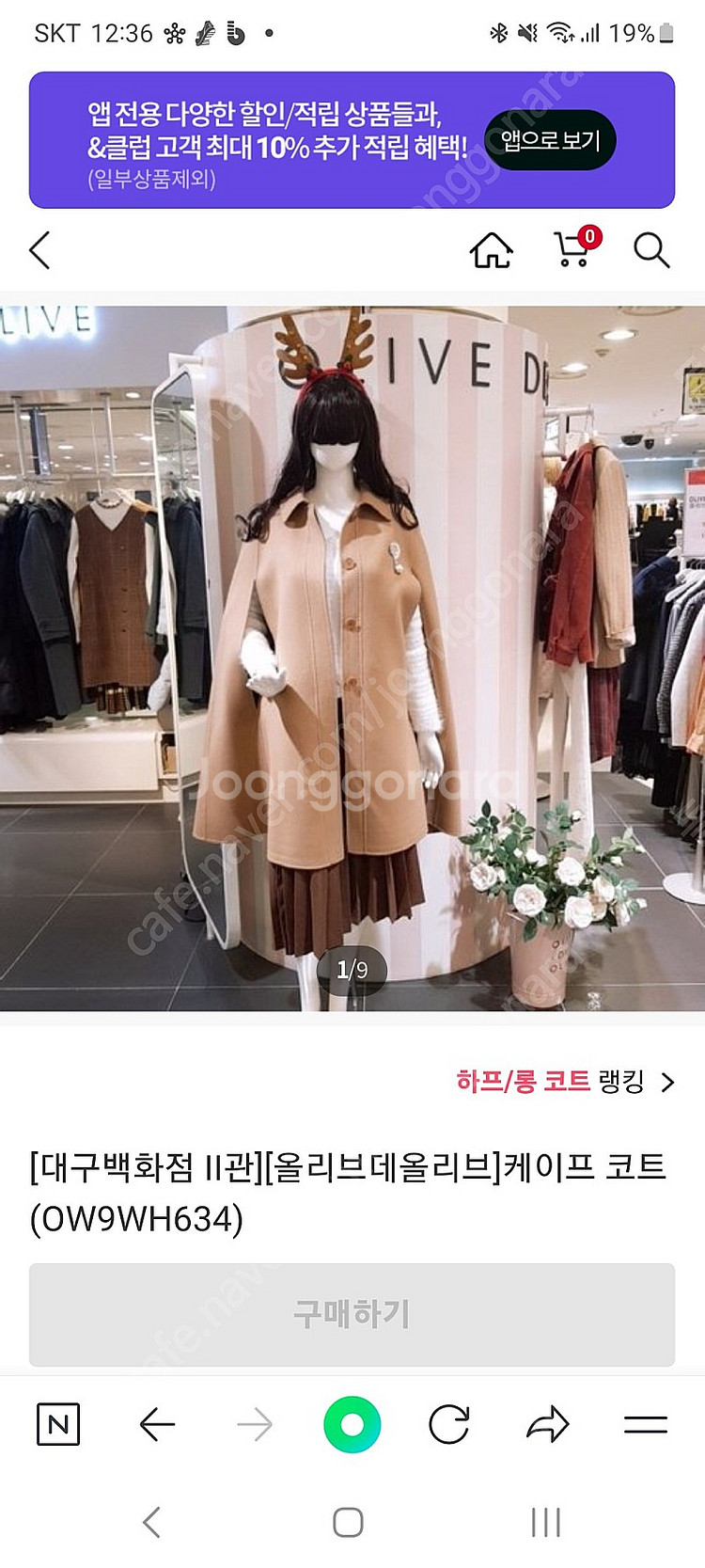 올리브데올리브 케이프코트--4