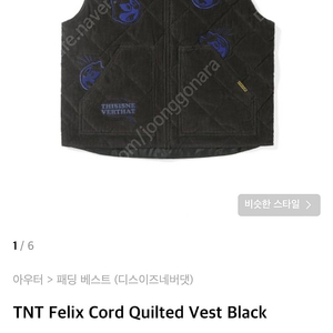 디스이즈네버뎃(이영지조끼) TNT felix, XL 사이즈 팝니다.