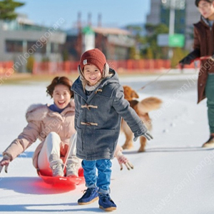 스노우빌리지 14일 (일요일) 2장 삽니다