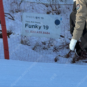 비발디파크 시즌권 양도합니다