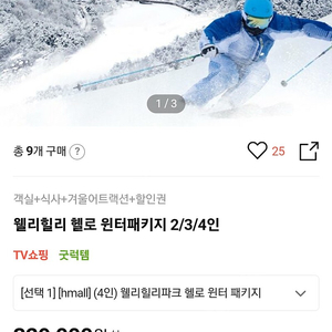 웰리힐리 헬로윈터패키지 4인