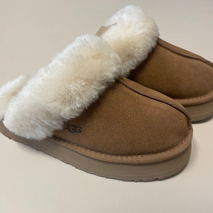 새상품) 어그 UGG 디스케트 정품 US 6 사이즈