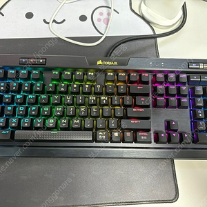 커세어 K70 RGB MK.2 갈축