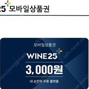 와인25 3000