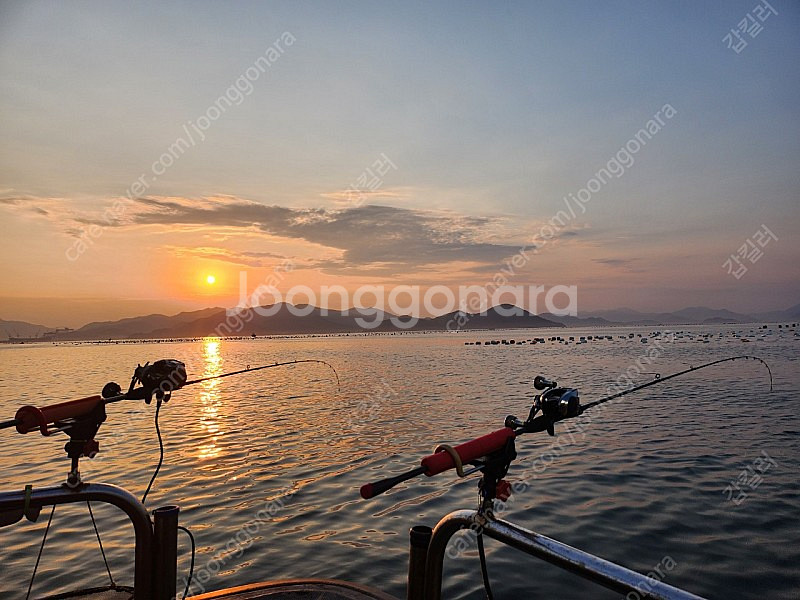 ( 한치오모리 ) 정품ex이카메탈 OR63MLS-SMTT--0