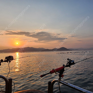 ( 한치오모리 ) 정품ex이카메탈 OR63MLS-SMTT