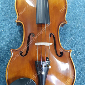 4/4 효정 250호 바이올린 판매