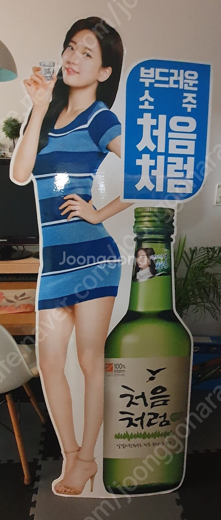 수지 등신대--0