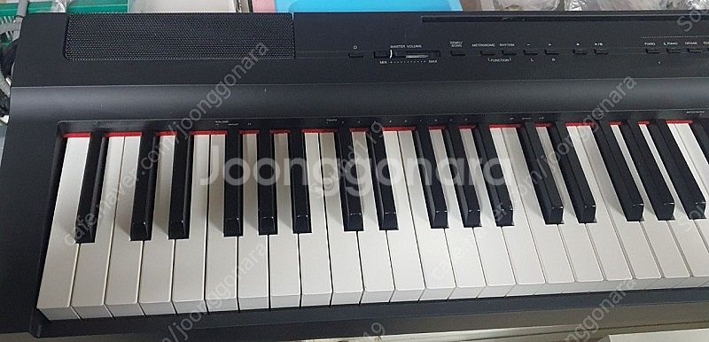 야마하 p-125 + 정품 전용 나무스탠드 팝니다--1