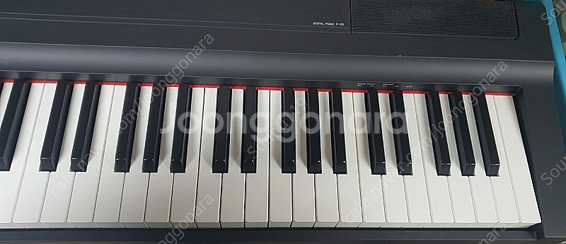 야마하 p-125 + 정품 전용 나무스탠드 팝니다--2