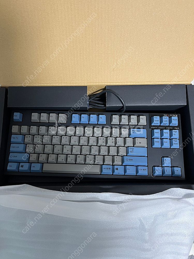 리얼포스 R2 R2TLSA-KR3-BK-L--1