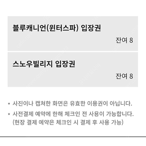 평창휘닉스 블루캐니언, 스노우빌리지