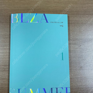 최여름 정치와 법 정법 개념편 교재 팝니다. BLZA SUMMER 10,000원