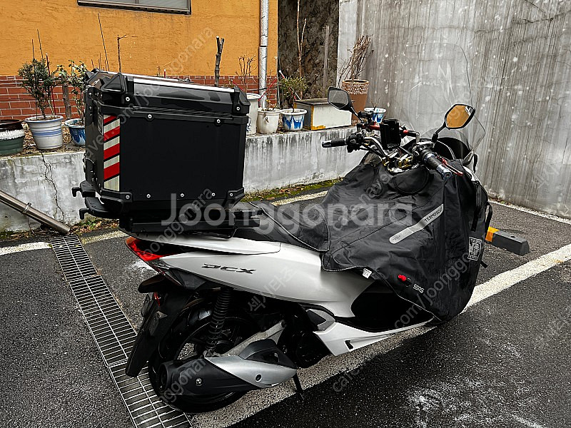 18년식 19년형 pcx 판매합니다.--1
