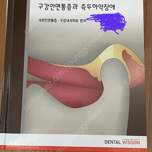 구강안면통증과측두하악장애