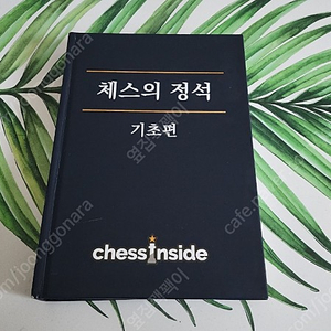 체스의정식 기본편