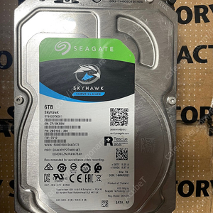 씨게이트 스카이호크 6TB