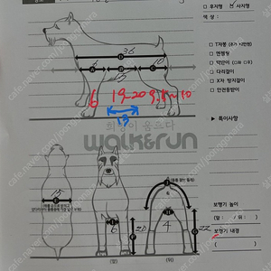 워크앤런 강아지 휠체어 보행기