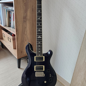 2022 PRS SE standard 24-08