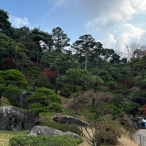 플립5 삽니다(512, 삼케플 가입기기)