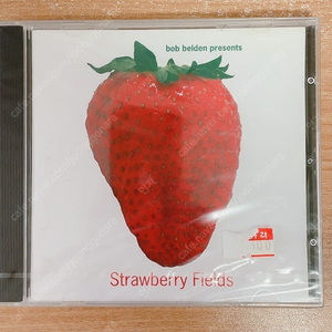 밥 벨덴 프레젠트 Bob Belden Presents - Strawberry Fields(미개봉) /비틀즈 트리뷰트 앨범