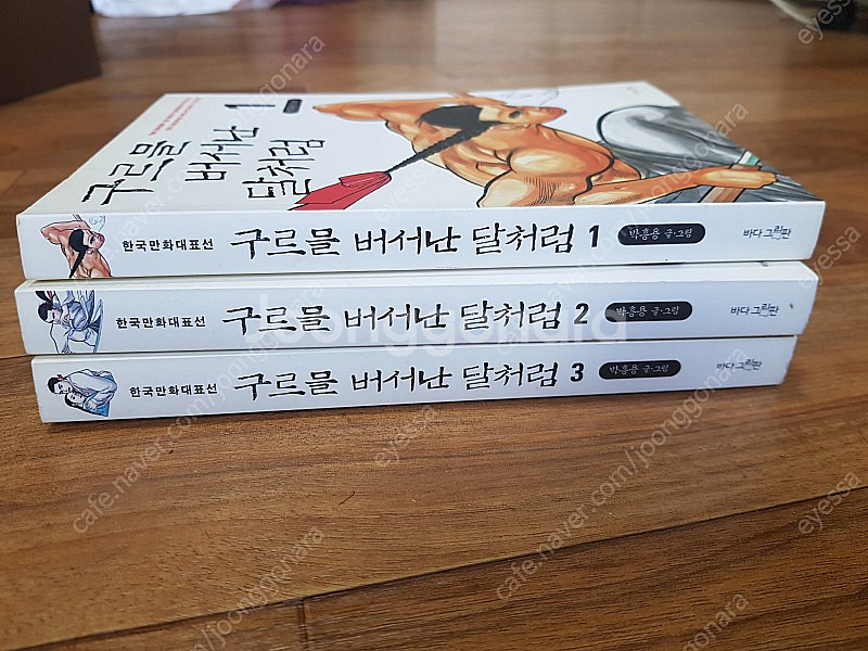 구르믈 버서난 달처럼1~3, 다니구치 지로(동토의 여행...--1