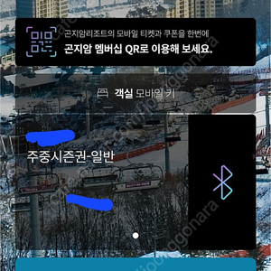 곤지암 주중 시즌권 판매합니다