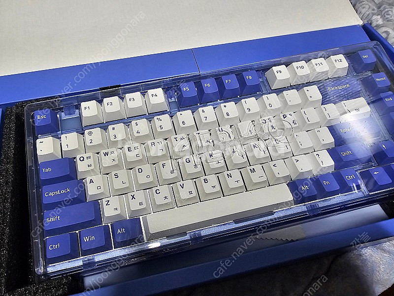 앱코 ag75 블루 갈축--0