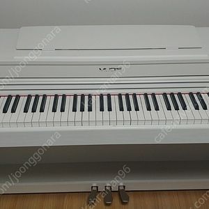 디지털 피아노 팝니다.
