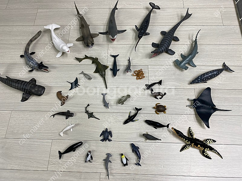 콜렉타 컬렉타 어린이장난감 택포 75,000 원--0