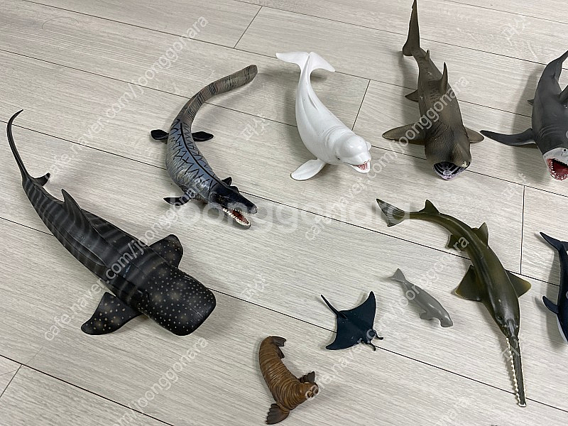 콜렉타 컬렉타 어린이장난감 택포 75,000 원--1