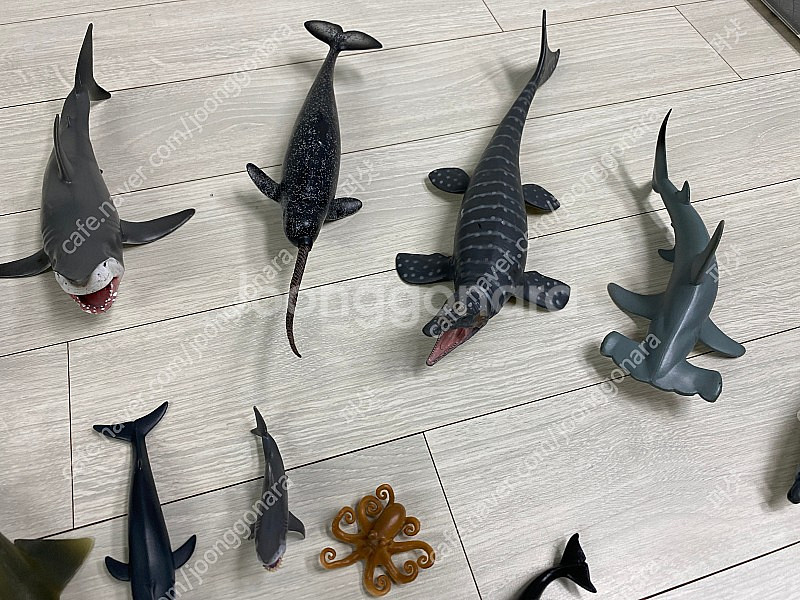 콜렉타 컬렉타 어린이장난감 택포 75,000 원--2