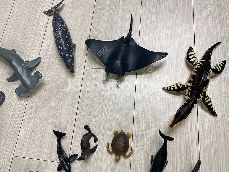 콜렉타 컬렉타 어린이장난감 택포 75,000 원--3