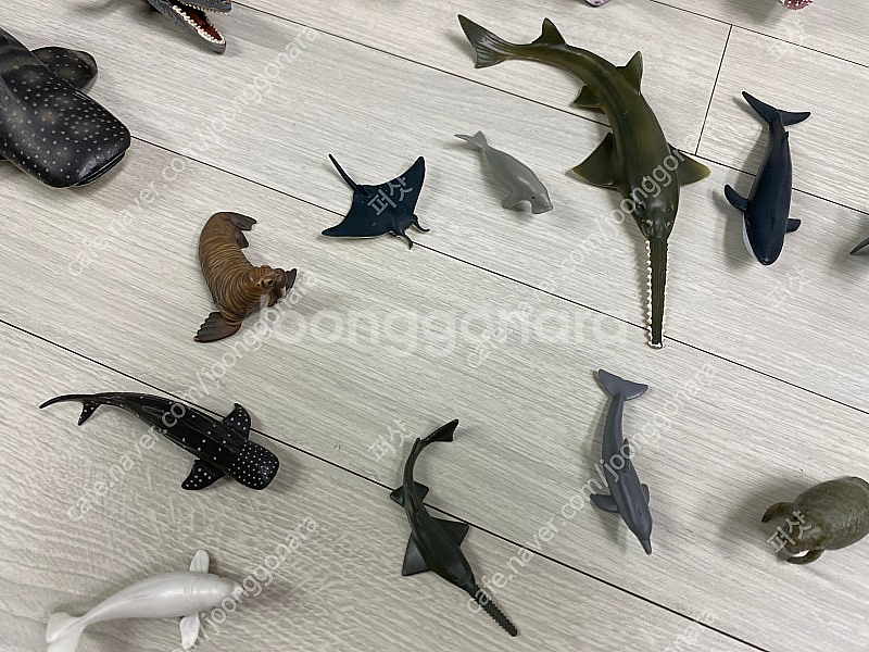 콜렉타 컬렉타 어린이장난감 택포 75,000 원--4