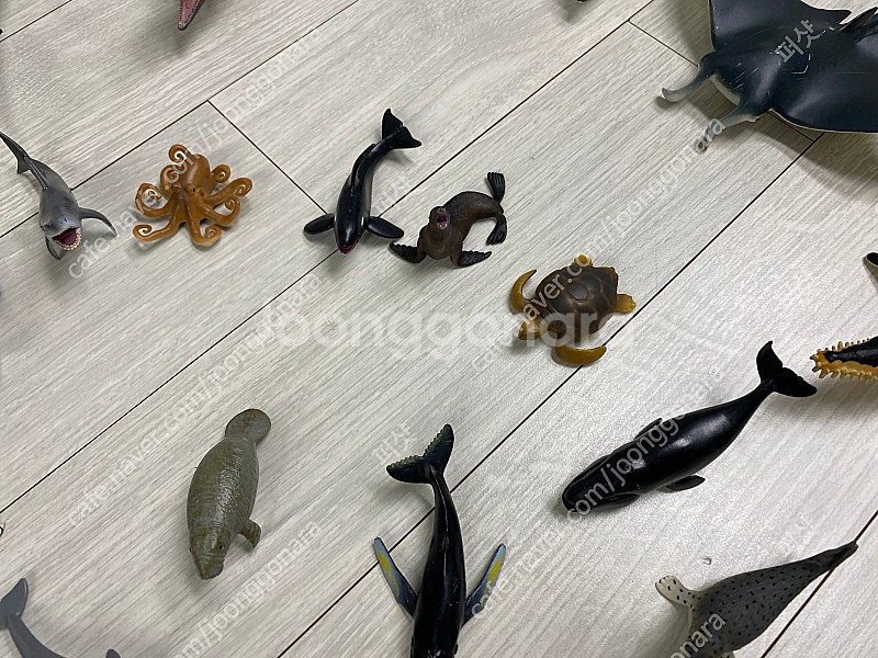 콜렉타 컬렉타 어린이장난감 택포 75,000 원--5