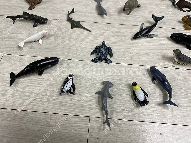 콜렉타 컬렉타 어린이장난감 택포 75,000 원--6