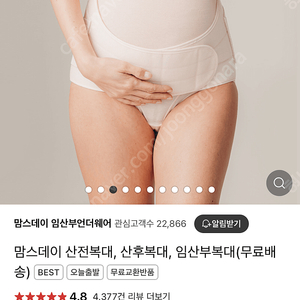 맘스데이 산전 산후 복대