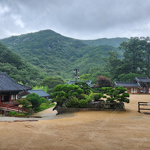 설연휴 삼척쏠비치호텔 숙박권 팝니다.