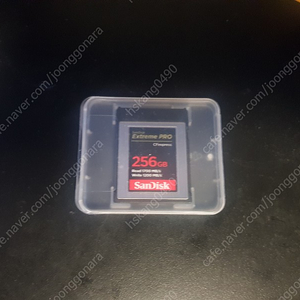 SanDisk 샌디스크 XTREME PRO CFexpress 256gb type b 카드 판매합니다.