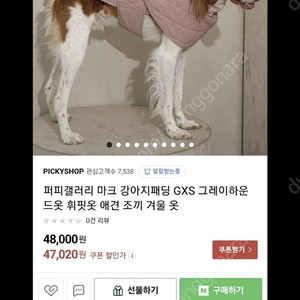 휘핏 그레이하운드 애견패딩m