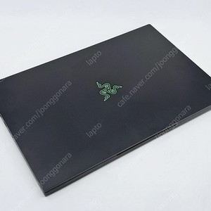 RazerBlade PRO 17 레이저블레이드 17 i7/RTX3060/360Hz 게이밍노트북