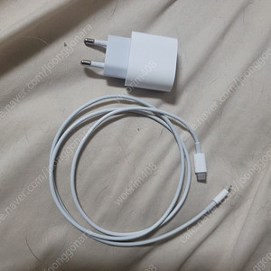 애플 정품 충전기 + 케이블 (20w)